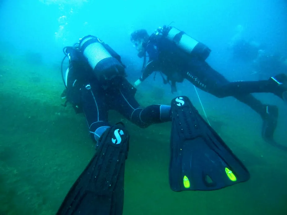 Equipment: Scuba Diving fins