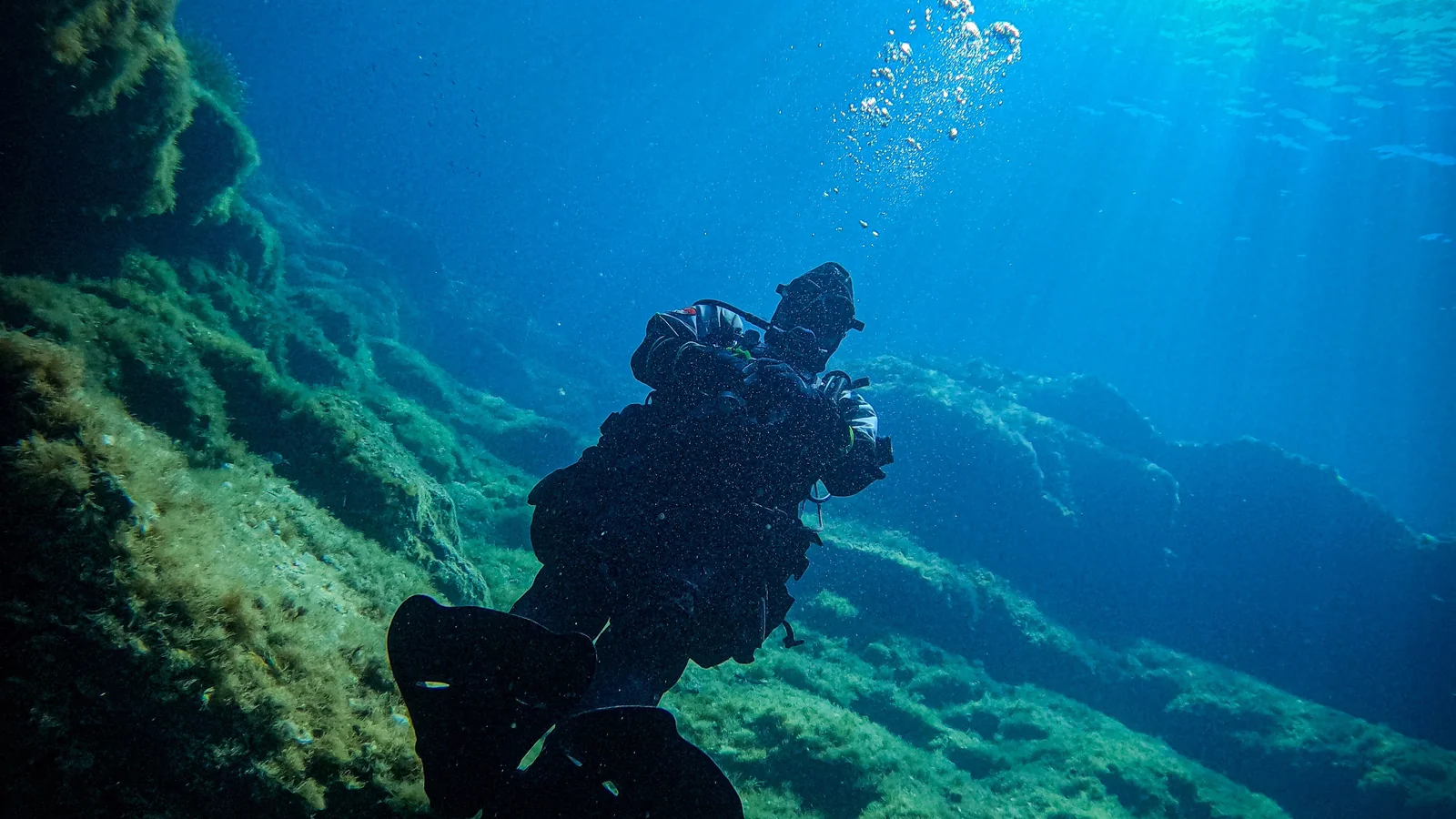 Why I Sometimes Dive a Drysuit in Summer