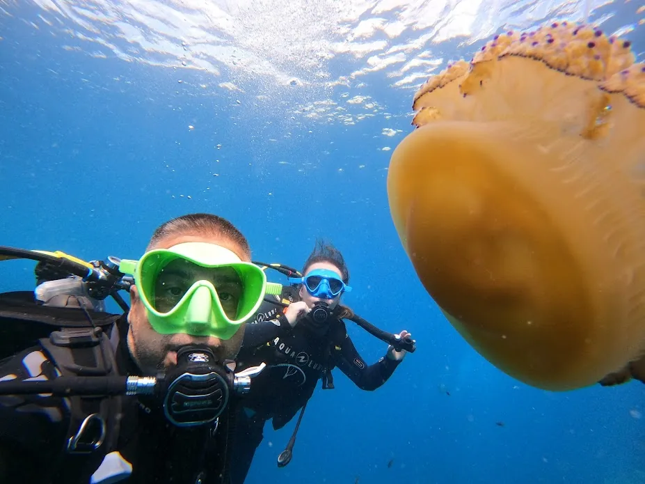 How to Find a Good Diving Instructor