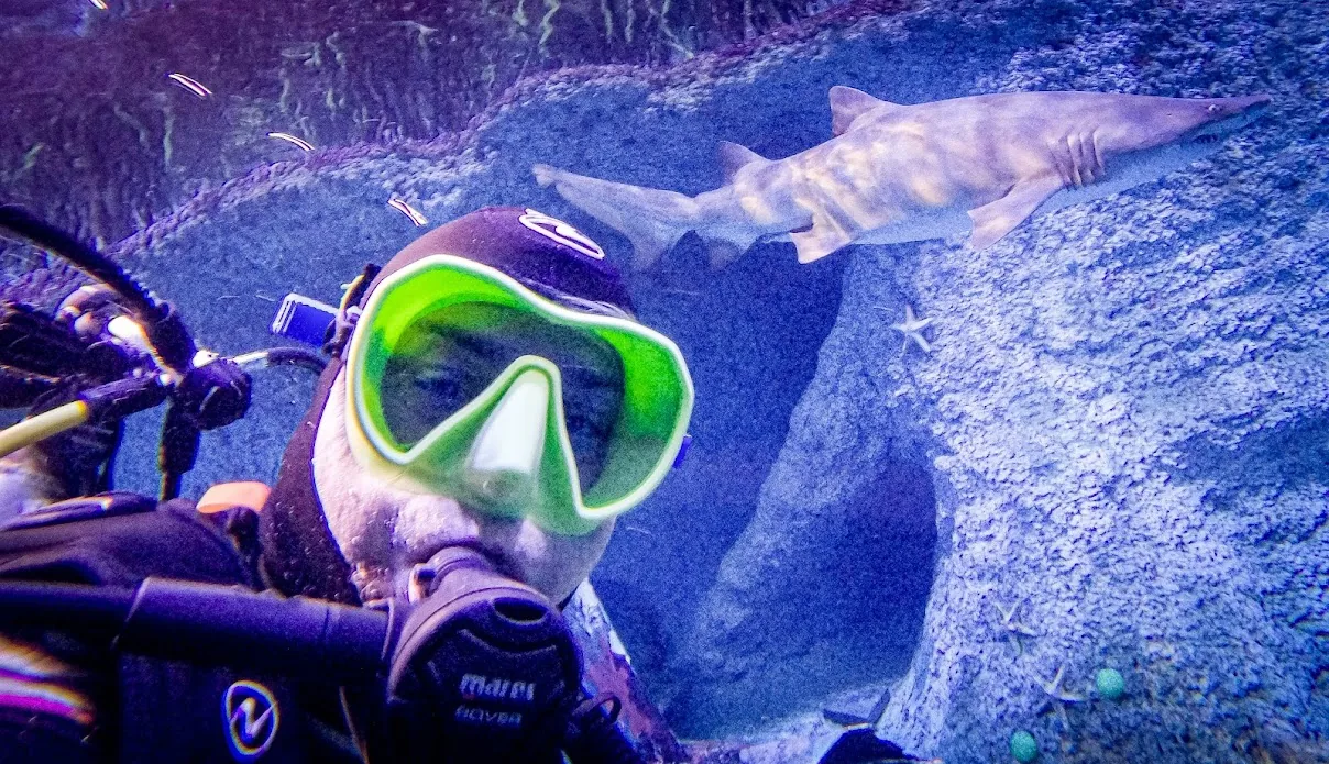 BusaBoy underwater archive
