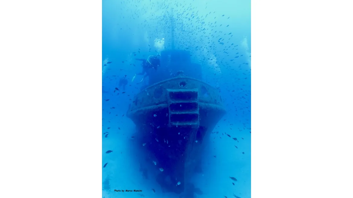 Y-40® DIVEBASE MALTA: il diving al mare di Y-40®